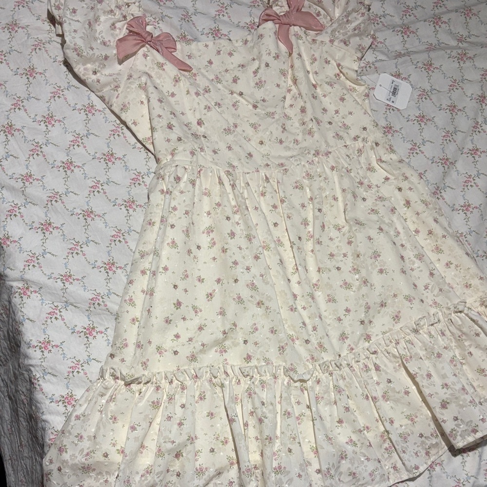 Altar'd State Cream and Pink Floral Dress